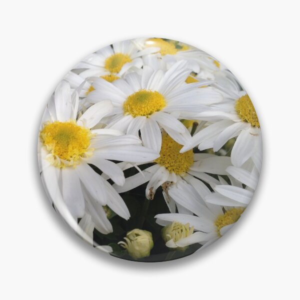 Item preview, A Whole lot of Dasies designed and sold by Candace Mountain.