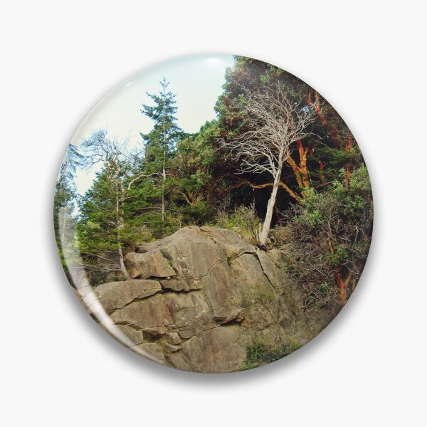 Item preview, Madrona trees, Washington state designed and sold by creuzy.