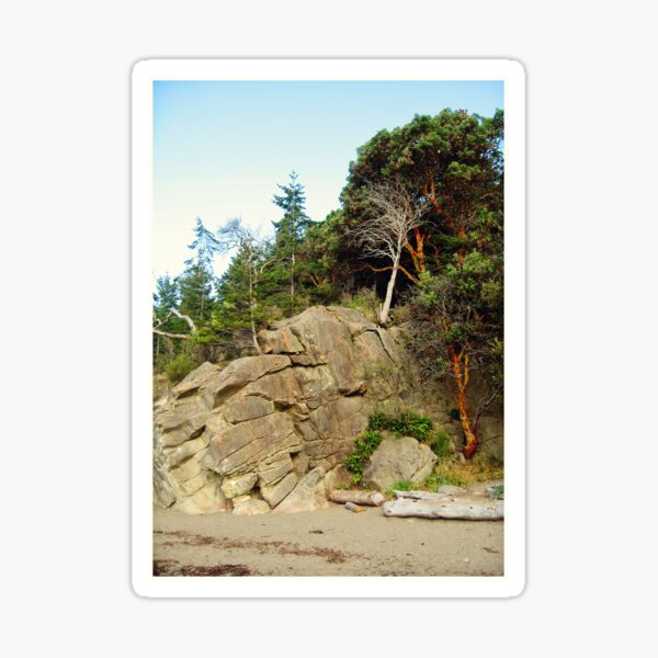 Item preview, Madrona trees, Washington state designed and sold by creuzy.