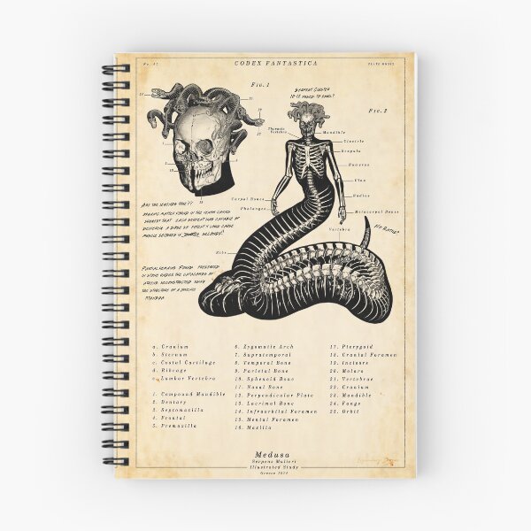 Item preview, Medusa Skeleton - Vintage Illustrated Poster designed and sold by IconicDigital.