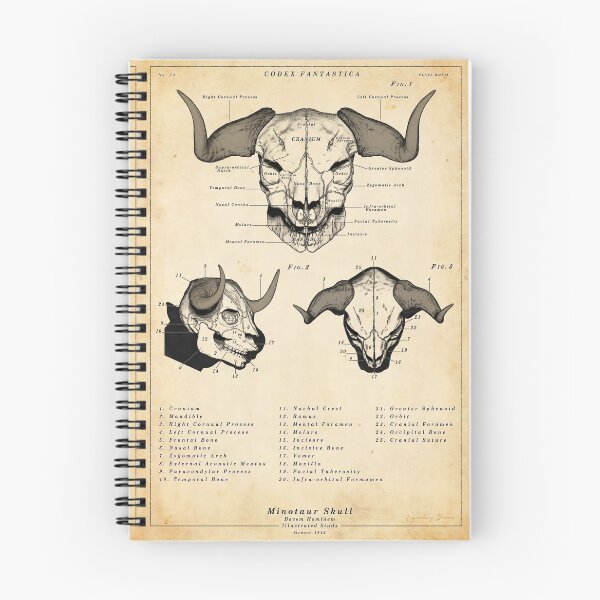 Item preview, Minotaur Skull - Vintage Illustrated Poster designed and sold by IconicDigital.