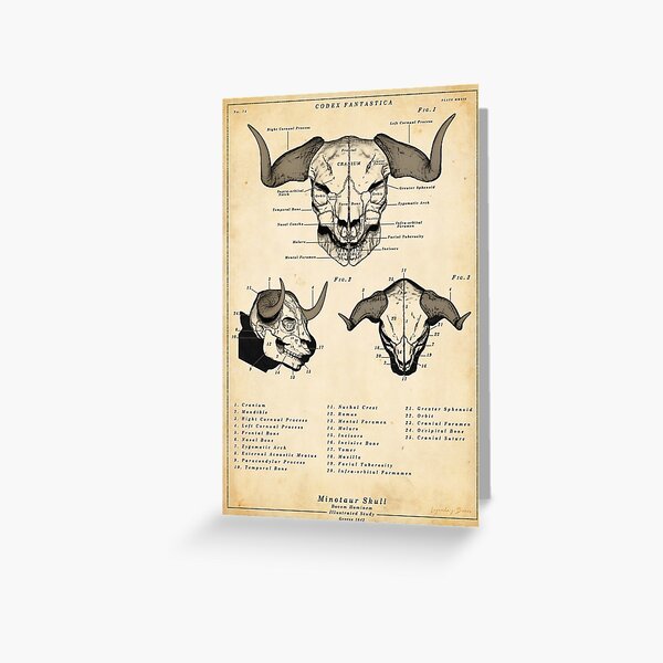 Item preview, Minotaur Skull - Vintage Illustrated Poster designed and sold by IconicDigital.