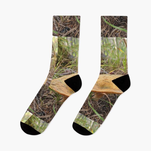 Item preview, Seta en el bosque designed and sold by Totallyalive.