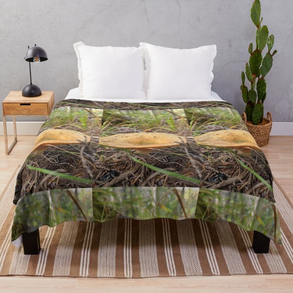 Item preview, Seta en el bosque designed and sold by Totallyalive.