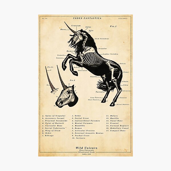 Artikel-Vorschau von Einhorn-Skelett - Vintage illustriertes Plakat, designt und verkauft von IconicDigital.