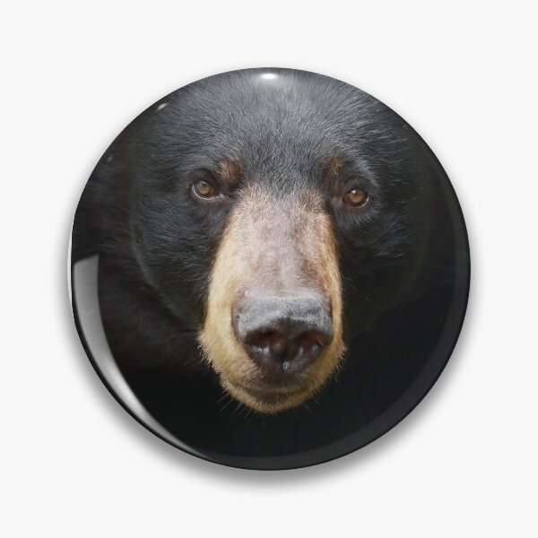 Item preview, Black Bear Face designed and sold by mlorenz.