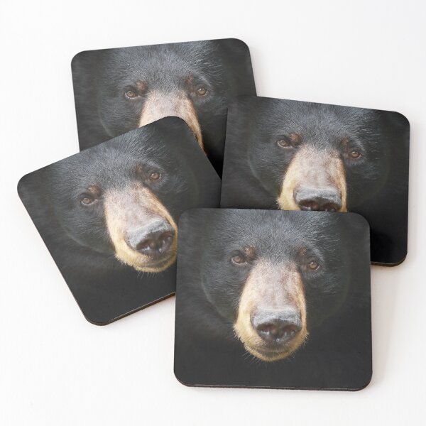 Item preview, Black Bear Face designed and sold by mlorenz.