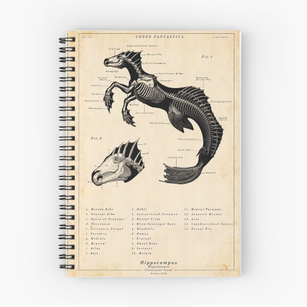 Item preview, Hippocampus Skeleton - Vintage Illustrated Poster designed and sold by IconicDigital.
