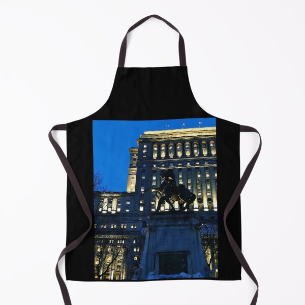 Item preview, Dorchester Square Montreal designed and sold by SpencerCSR.