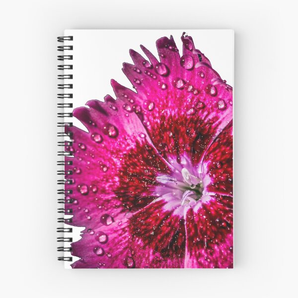 Item preview, nice bloom designed and sold by OE993.