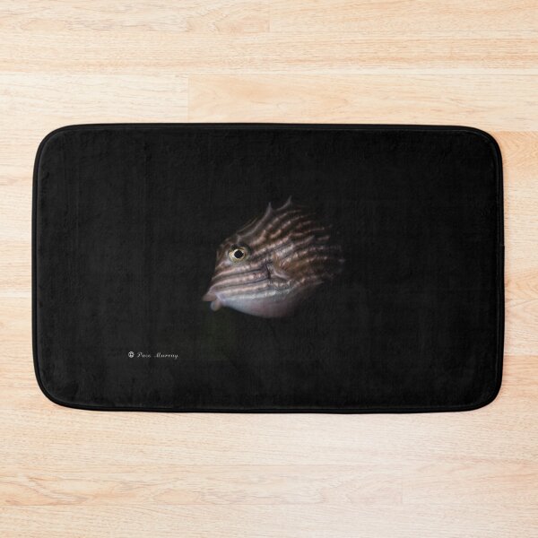 Item preview, Boxfish designed and sold by pacom.