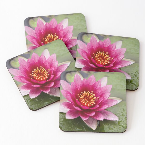 Item preview, Pink Waterlilly designed and sold by ppddesigns.