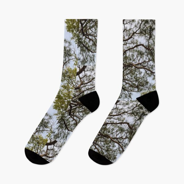 Item preview, Pine Tree and Blue Sky designed and sold by Camille Adkison.