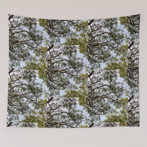 Item preview, Pine Tree and Blue Sky designed and sold by Camille Adkison.