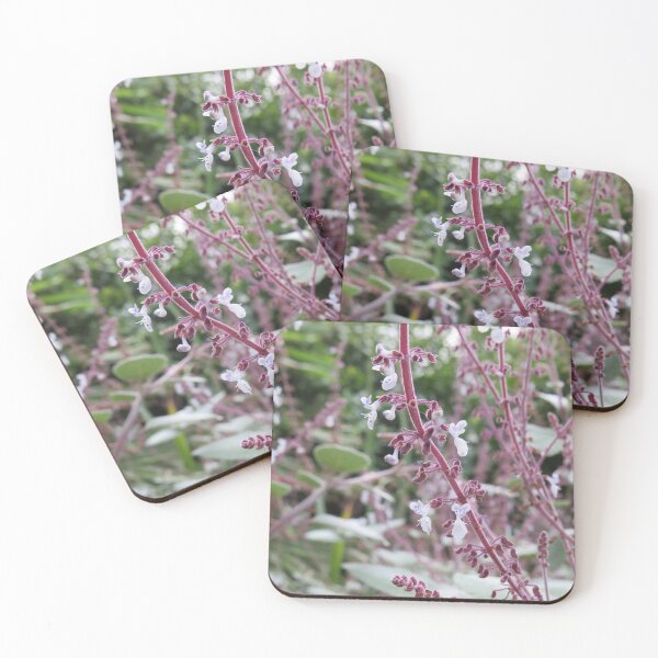 Item preview, Plectranthus flowers up close designed and sold by greentiger1.
