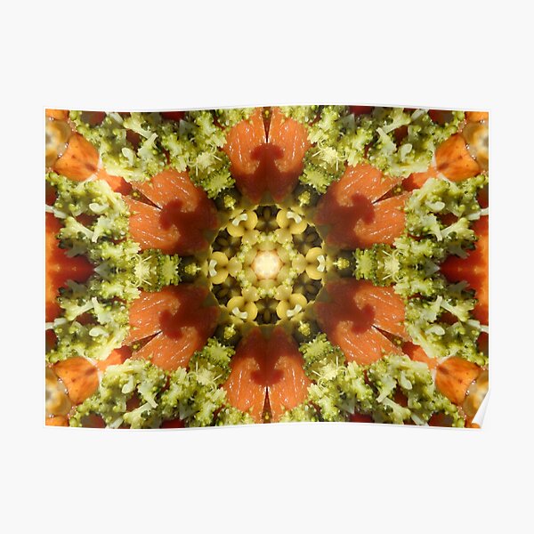 Kaleidoscopic Nature 00084 Poster