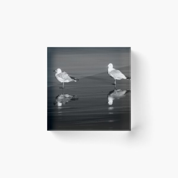 Item preview, two seagulls designed and sold by GaryParnell.