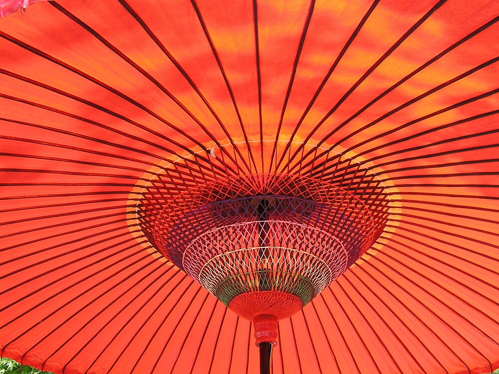 " Japanese Parasol" by davidandmandy Redbubble