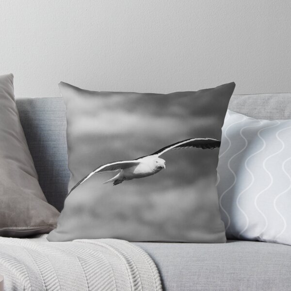 Item preview, solo flight designed and sold by GaryParnell.