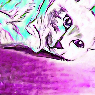 Artwork thumbnail, Abstract Ragdoll Kitty by ClosLineDesigns