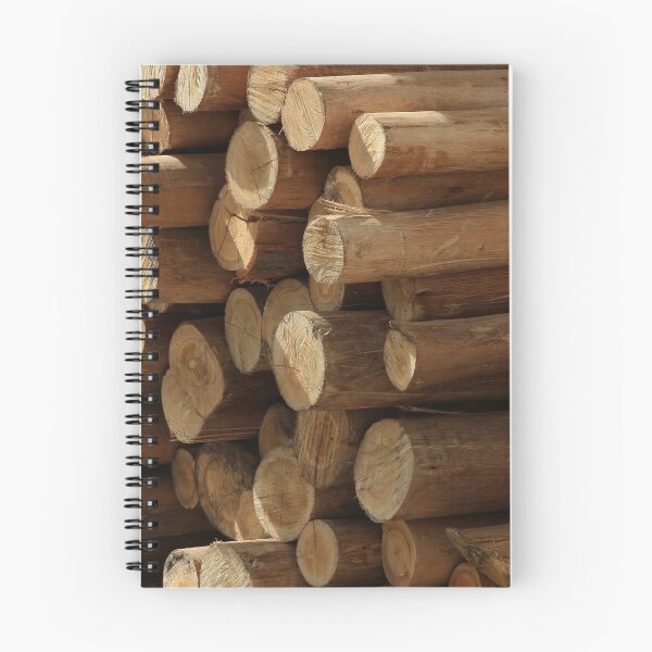 Item preview, Logs in Cotacachi designed and sold by rhamm.