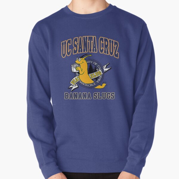 ucsc sweatshirt