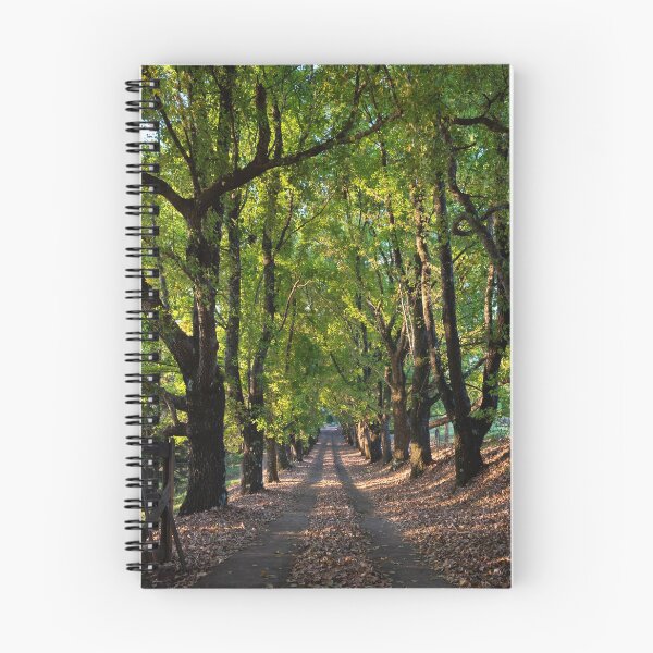 Item preview, Autumn Laneway - Maleny, Australia designed and sold by Gypsy Soul Images.