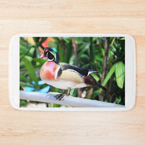 Item preview, Quack designed and sold by Blackadder Photography.