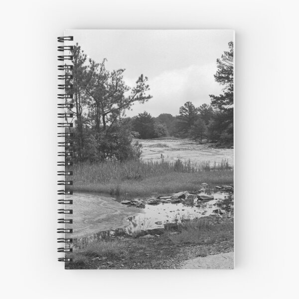 Item preview, Frog Pond designed and sold by Bill Wetmore.