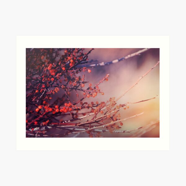 Fruitful Branching Art Print