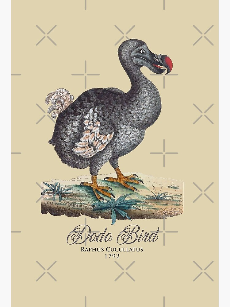 Best Dodo Bird Gift Ideas