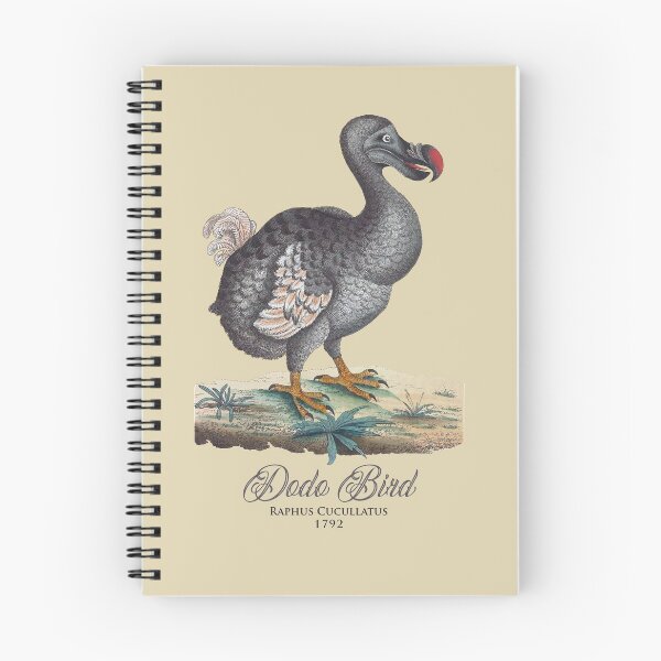 Item preview, Dodo Bird: illustration of the extinct bird. ca 1792 designed and sold by ebrawne.