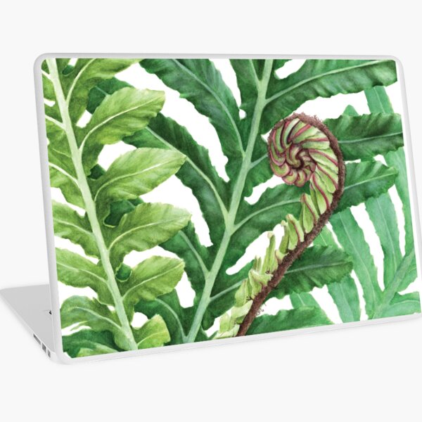Watercolour fern Laptop Skin