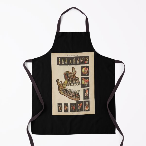 Item preview, Dentist Diseases Of The Teeth designed and sold by bethwagner44100.