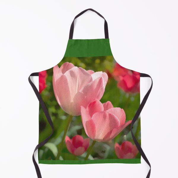 Artikelvorschau, Sonnenbeschienene Tulpen entworfen und verkauft von Alisonchambers2.