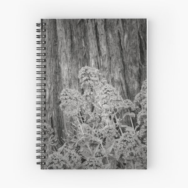 Item preview, Hug a Tree designed and sold by JOSEPHMAZZUCCO.