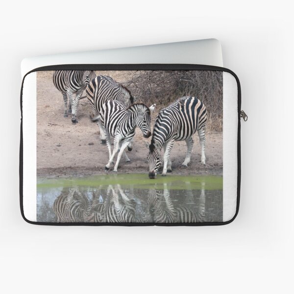 Item preview, Assoiffé designed and sold by Michael Moss Photography.