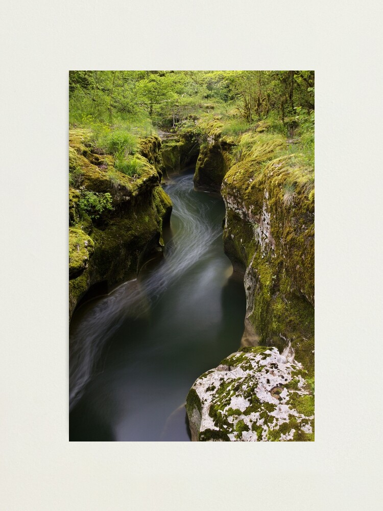 Alternate view of Dark water and springtime greenery Photographic Print