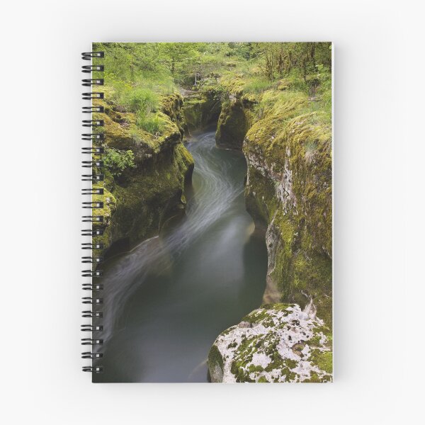 Item preview, Dark water and springtime greenery designed and sold by Patrick Morand.