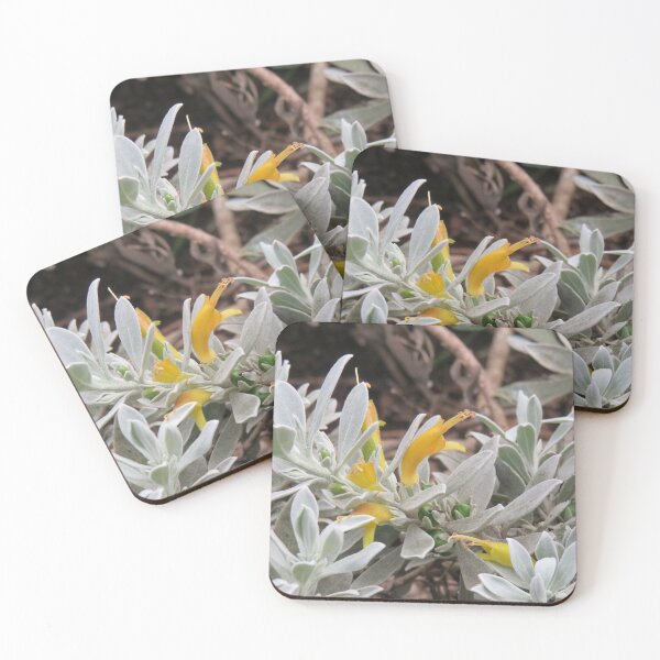 Item preview, Yellow eremophila designed and sold by greentiger1.