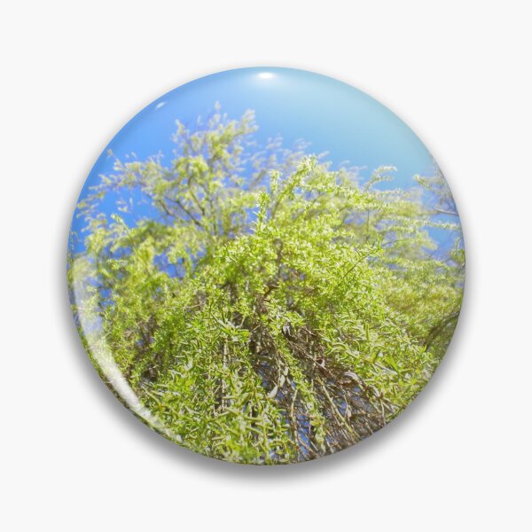 Item preview, Weeping willow crown view designed and sold by Treemonk.