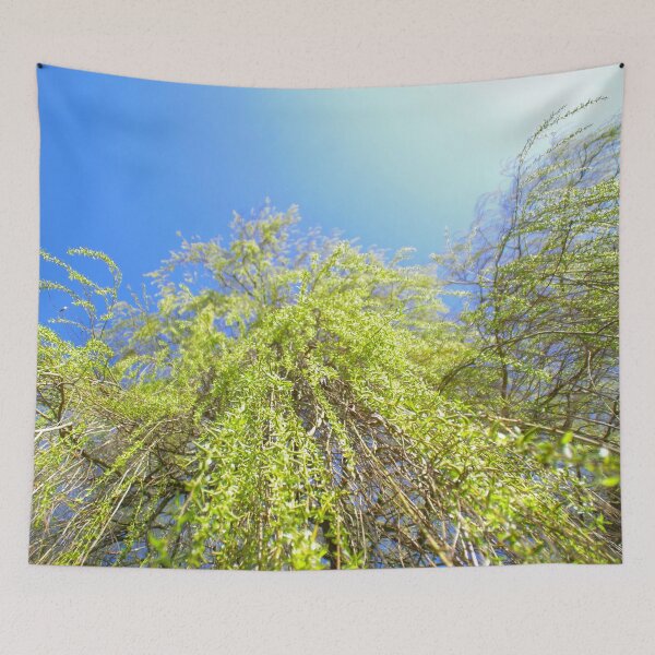 Item preview, Weeping willow crown view designed and sold by Treemonk.
