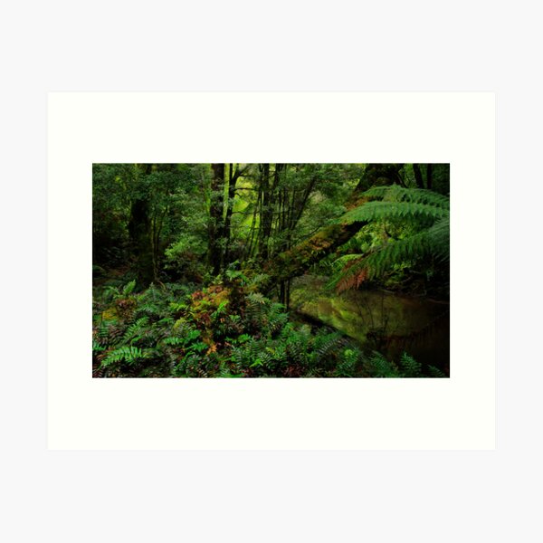 Item preview, Rainforest in Tasmania designed and sold by Angelika  Vogel.