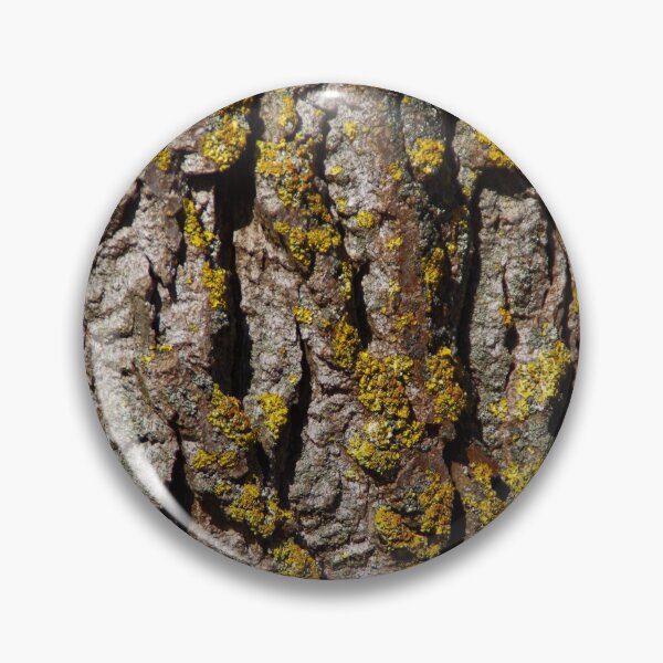Item preview, Poplar bark pattern with sulfur lichen designed and sold by Treemonk.