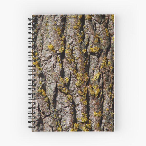 Item preview, Poplar bark pattern with sulfur lichen designed and sold by Treemonk.