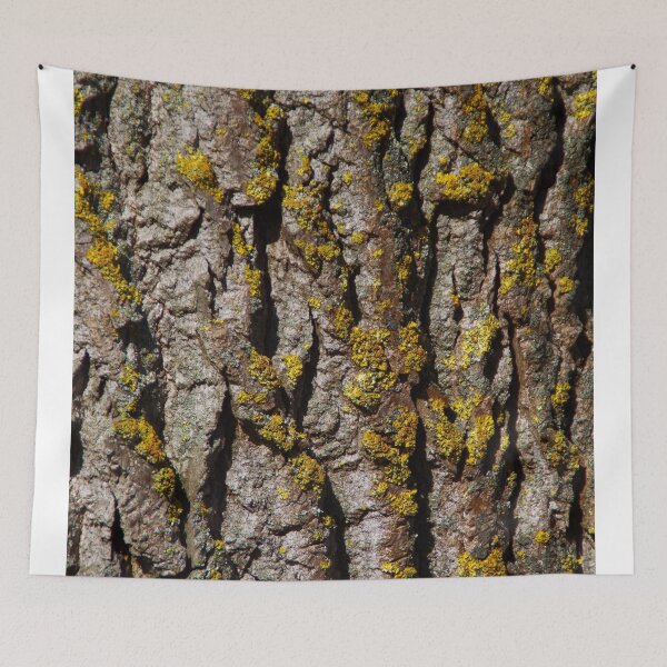 Item preview, Poplar bark pattern with sulfur lichen designed and sold by Treemonk.