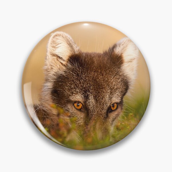 Item preview, Cute arctic fox hiding  designed and sold by C-B-Stuedal.