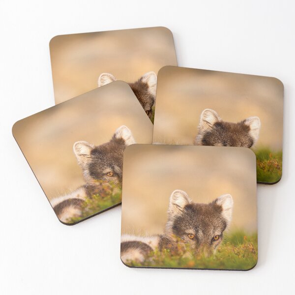 Item preview, Cute arctic fox hiding  designed and sold by C-B-Stuedal.