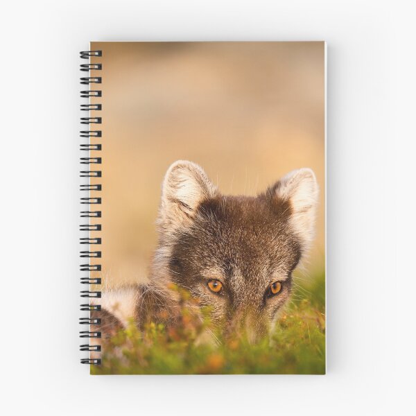 Item preview, Cute arctic fox hiding  designed and sold by C-B-Stuedal.