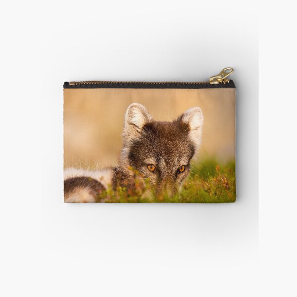 Item preview, Cute arctic fox hiding  designed and sold by C-B-Stuedal.